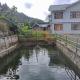 Kashyap Homestay, Soreng (fotografie 9)