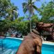 Shalom Backpacker Hostel, Puerto Escondido (Foto 6)