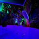 Amazonia Suite - Starry Sky & Spa Bath Valenciennes - Foto 9