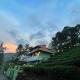 Green Lushy By Unplugged Vagamon, Vagamon
