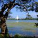 Vindiw Holiday Resort, Anuradhapura (zdjęcie 4)