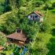 Cabana Vânătorilor