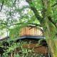 Treehouse In Devon - riverside woodland hideaway Beaworthy - Fotografie 4