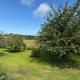 Lower Milntown Farm, Ramsey (fotografie 4)