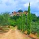 Casa di Laura in Chianti - large & charming house (host 7 people), Moncioni