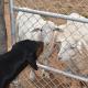 Nuwepos, Vanrhynsdorp (foto 4)