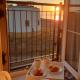 Martello Sunrise - Luxury 3-bedroom Seaview Beach House, Felixstowe (Foto 9)