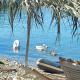 Guest house Lori, Pogradec (foto 4)