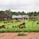 Harnham Mountain Lodge, Elsteg (foto 9)