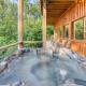 Eagle River Lodge - Huge Indoor Pool - Sleeps 24 Sevierville - Fotografie 6