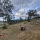 Picturesque Cabin, Broke NSW, Broke (foto 6)