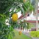 Mango Villa Bentota, Bentota (foto 2)