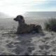 La Casa Ferienwohnung Moewe, Steinberg (fotografie 9)