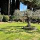 Tranquil location with views of Lake Trasimeno!, Passignano sul Trasimeno (zdjęcie 5)