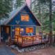 Indigo Owl by AvantStay Cabin w Firepit Minutes to Lake Slopes, Homewood - Fotografie 1