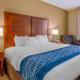 Comfort Inn & Suites Lynchburg Airport - University Area, Линчберг (фото 8)
