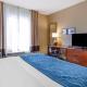 Comfort Inn & Suites Lynchburg Airport - University Area, Линчберг (фото 9)