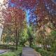 Suite Tevere star, Rome - Photo 1