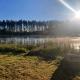 Country peace by the pond- Hidden gem at lake, Salo (foto 6)