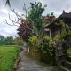Rumah Nyoman Ubud - Fotografie 2