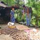 Mila Homestay, Padang (foto 8)