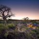 Baobab Hill House, Makuleke Contract Park (foto 2)