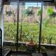 Phong Nha Mini Farm - Nguyen Shack, Phong Nha (fotografie 3)