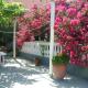 Spiridoula apartments, Agios Stefanos (zdjęcie 2)