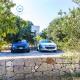 Villa Italo Spa - Wine Tasting - Parking Car, Ostuni (foto 6)