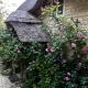 Thatched Cottage 2 Bed 2 Bath in Stour Provost near Shaftesbury and Longleat - Foto 2