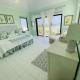 Halcyon House home, Savannah Sound (foto 6)