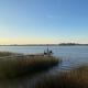 Isla maria, Tigre (photo 3)