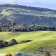 Mohua Park - Catlins Eco Accommodation