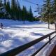 Slope-side Studio Dog Friendly Full Kitchen, Breckenridge (photo 4)