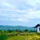บ้าน มองดูหมอก, Ban Khok Hang Wang (photo 3)