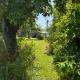 Camping Relaxing im Garten, Wettringen (fotografie 3)