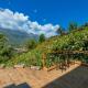 Still Cafe Home Kitchen, Sapa (foto 5)