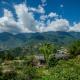 Still Cafe Home Kitchen, Sapa (foto 3)