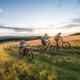 Outdoor & Relax Blackforest, Neukirch (fotografie 10)
