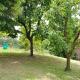 Holiday home in Asti with a lovely hill view from the garden, Moncucco Torinese (foto 7)