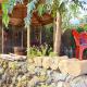 Finca in El Tanque with a washing machine, Tanque (fotografie 4)