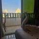 EL Aida Pyramids View