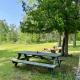Cozy Private Log Cabin on acreage, Hale (foto 7)