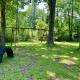 Cozy Private Log Cabin on acreage, Hale (foto 6)