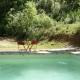 Villa in Flayosc near Gorges du Verdon, Draguignan (photo 9)