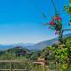 Villa Anemos, Nivicë