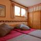 Appartement 2 pièces, 4 personnes, exposé Sud, animaux acceptés, parking - FR-1-263-605, Valloire (photo 10)