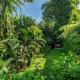 Mambo Valley - Your Own Private Oasis in Ubud - Photo 6