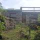Nasaka jacala, Cuetzalán del Progreso (Foto 3)