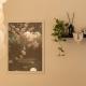 3R1BA3QBED#Seongsu#Ttukseom#SeoulForest, Seoul - Photo 5